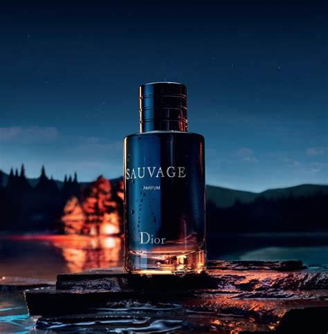 sauvage perfume christian dior